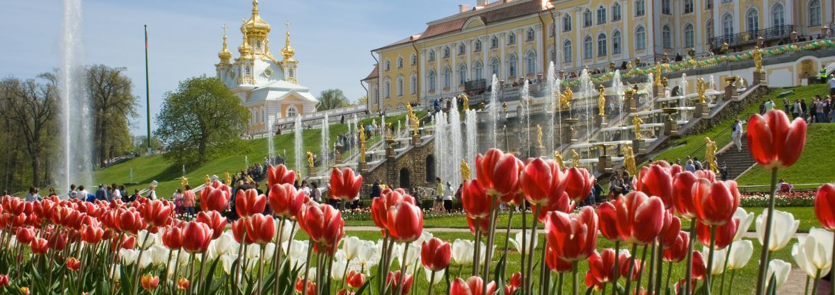 Peterhof Palace great fountains Visa-free cruise from Helsinki to St. Petersburg